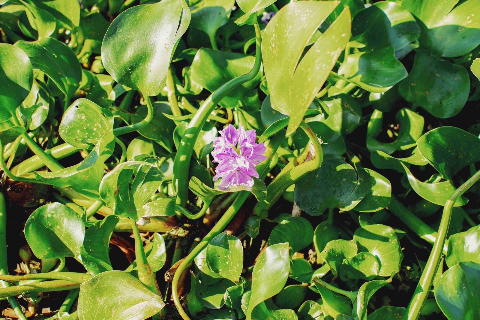 Recharge and Reconnect image