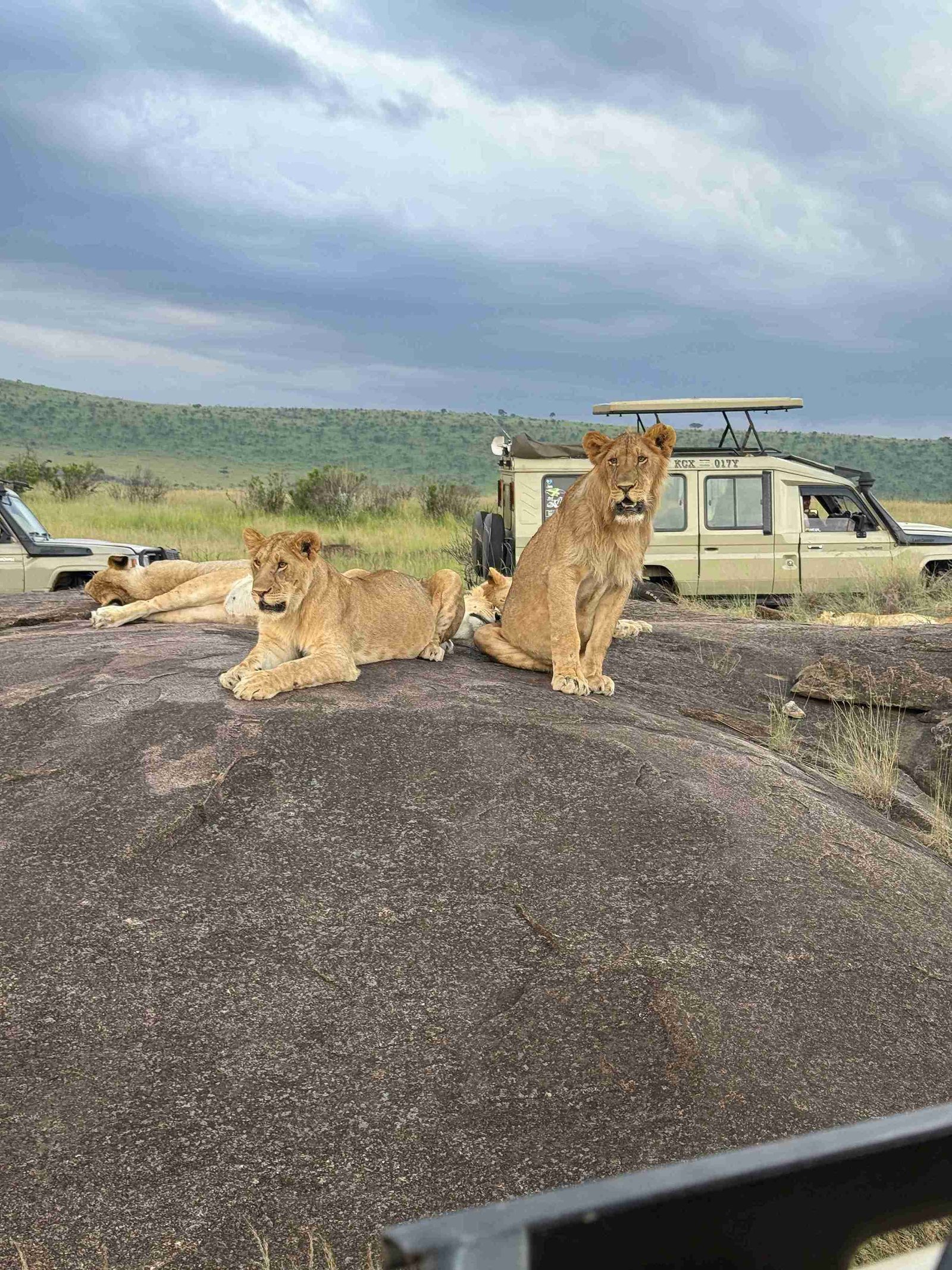 Mnaha Wild Adventures-2 Image