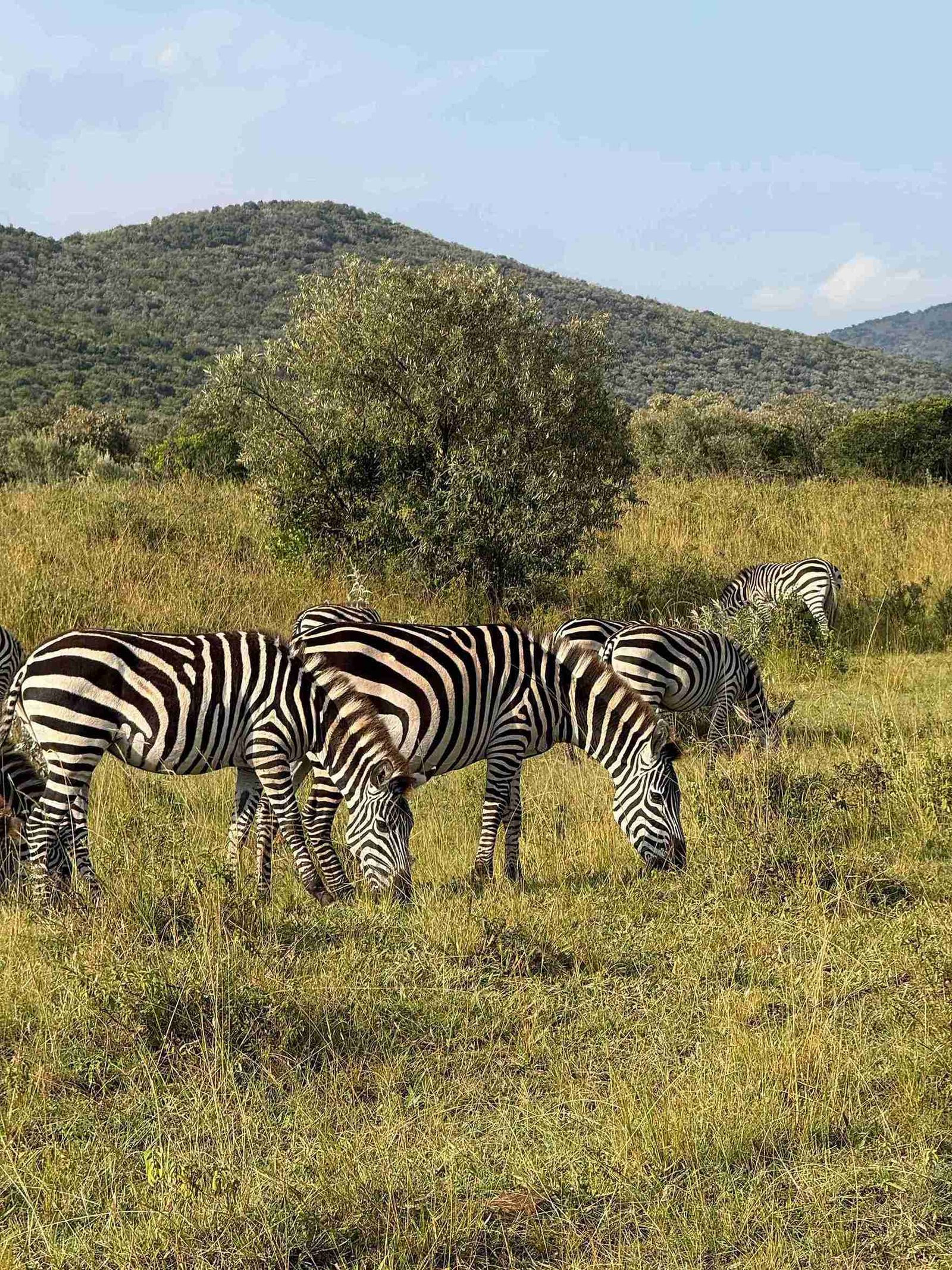 Mnaha Wild Adventures-3 Image