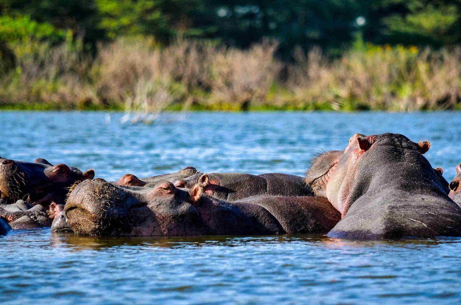 GEO SPA & Naivasha Camping Experience
